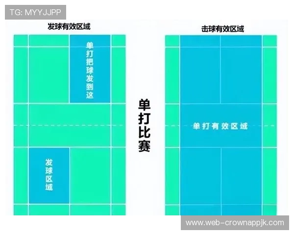 干扰发球违例怎么判？带你解读裁判的判罚依据和规则要点。